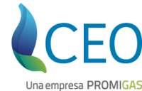 LOGO-CEO-PROMIGAS