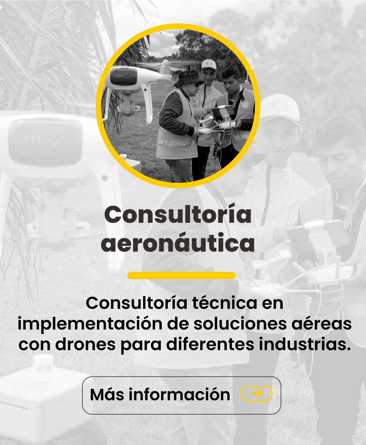  Consultoria 